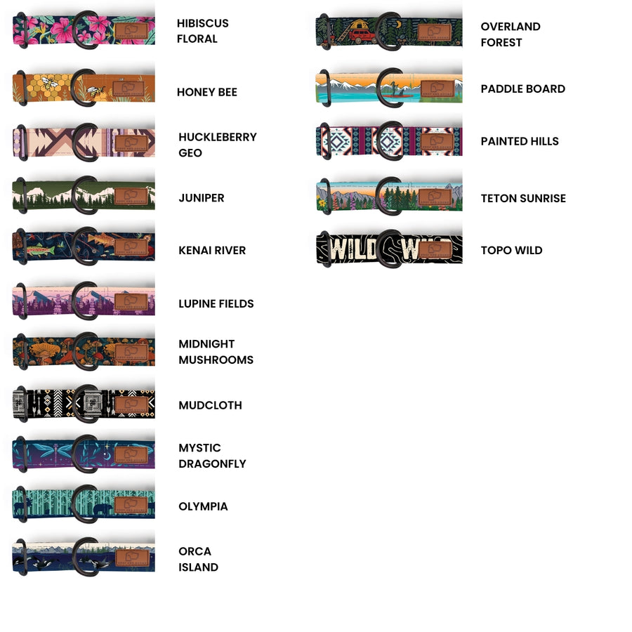 Fabric Martingale Dog Collar Two Pack (choose your designs)