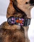Amethyst Geo Dog Collar