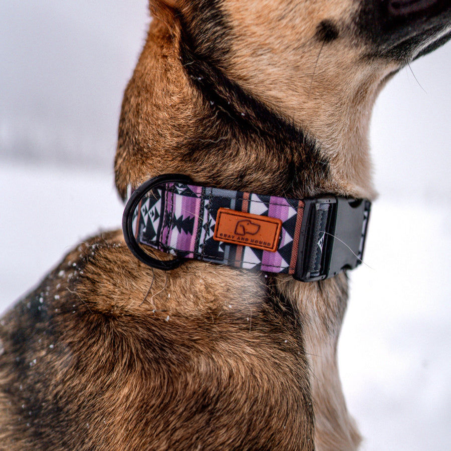Amethyst Geo Dog Collar