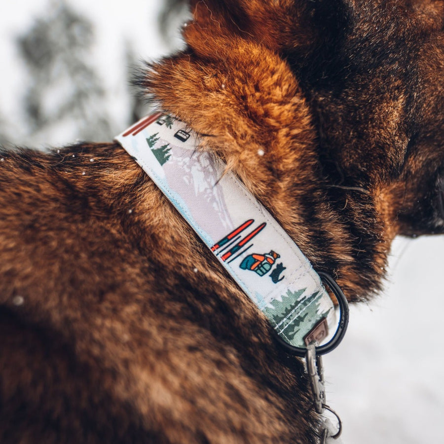PNW Slopes Dog Collar
