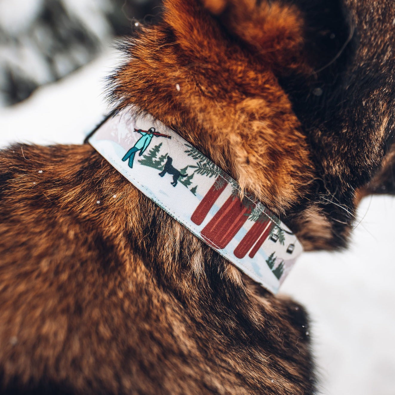 PNW Slopes Collar