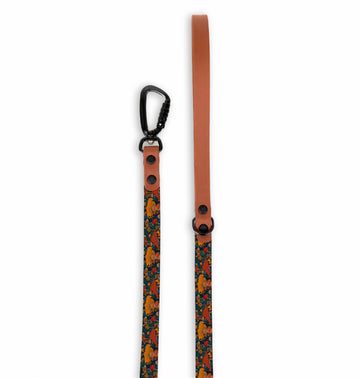 Midnight Mushrooms Dog Leash