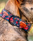 Midnight Mushrooms Dog Collar