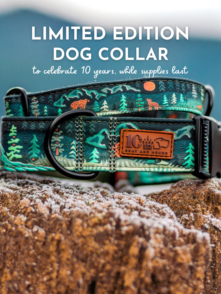 Gray and Hound The Best Outdoor Dog Collars and Leashes GrayandHound