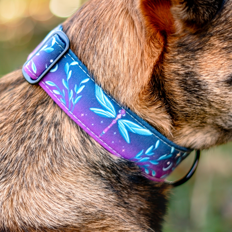 Mystic Dragonfly Dog Collar