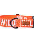 Neon Orange WILD Dog Collar