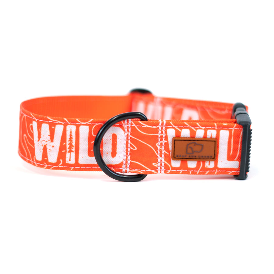 Neon Orange WILD Dog Collar