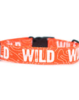 Neon Orange WILD Dog Collar