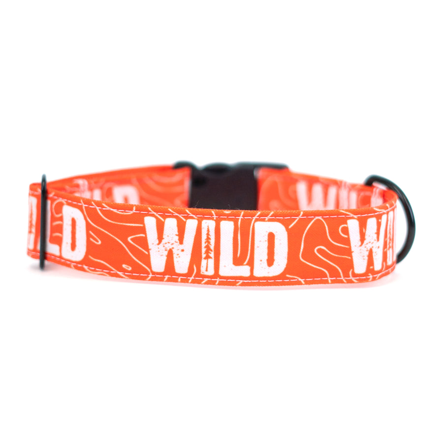 Neon Orange WILD Dog Collar