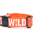 Neon Orange WILD Dog Collar