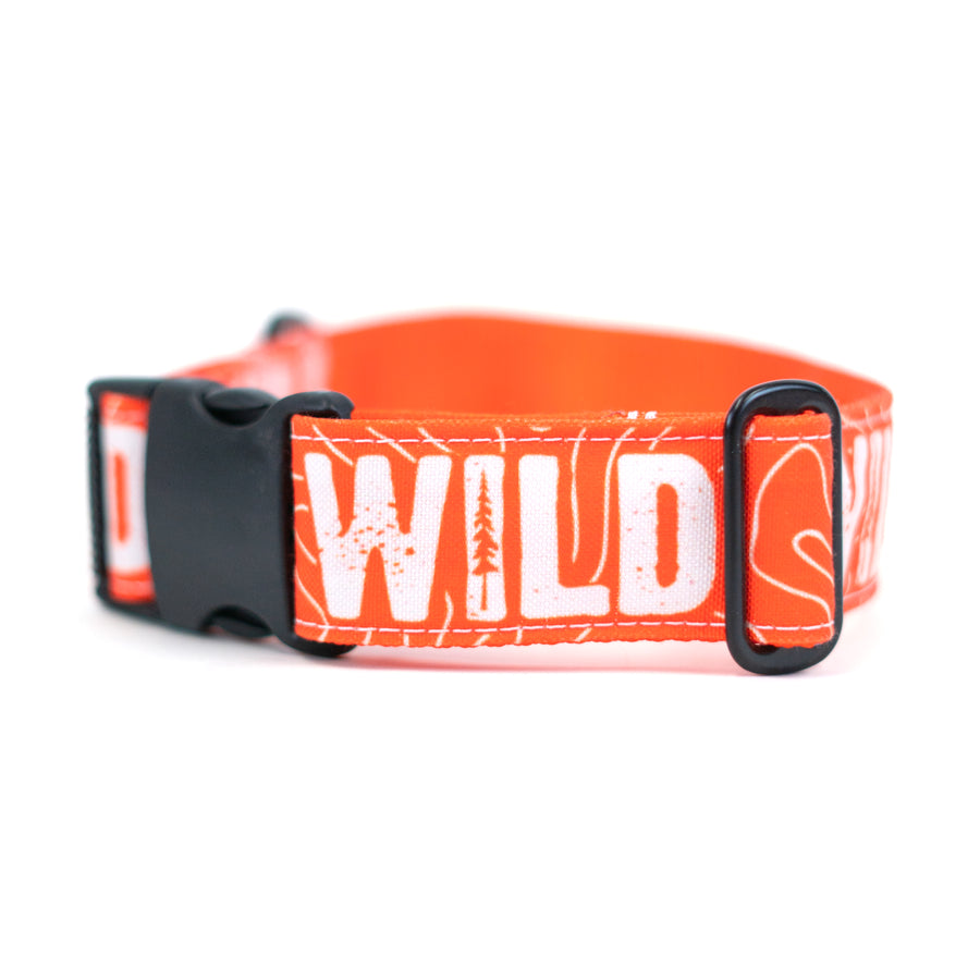 Neon Orange WILD Dog Collar