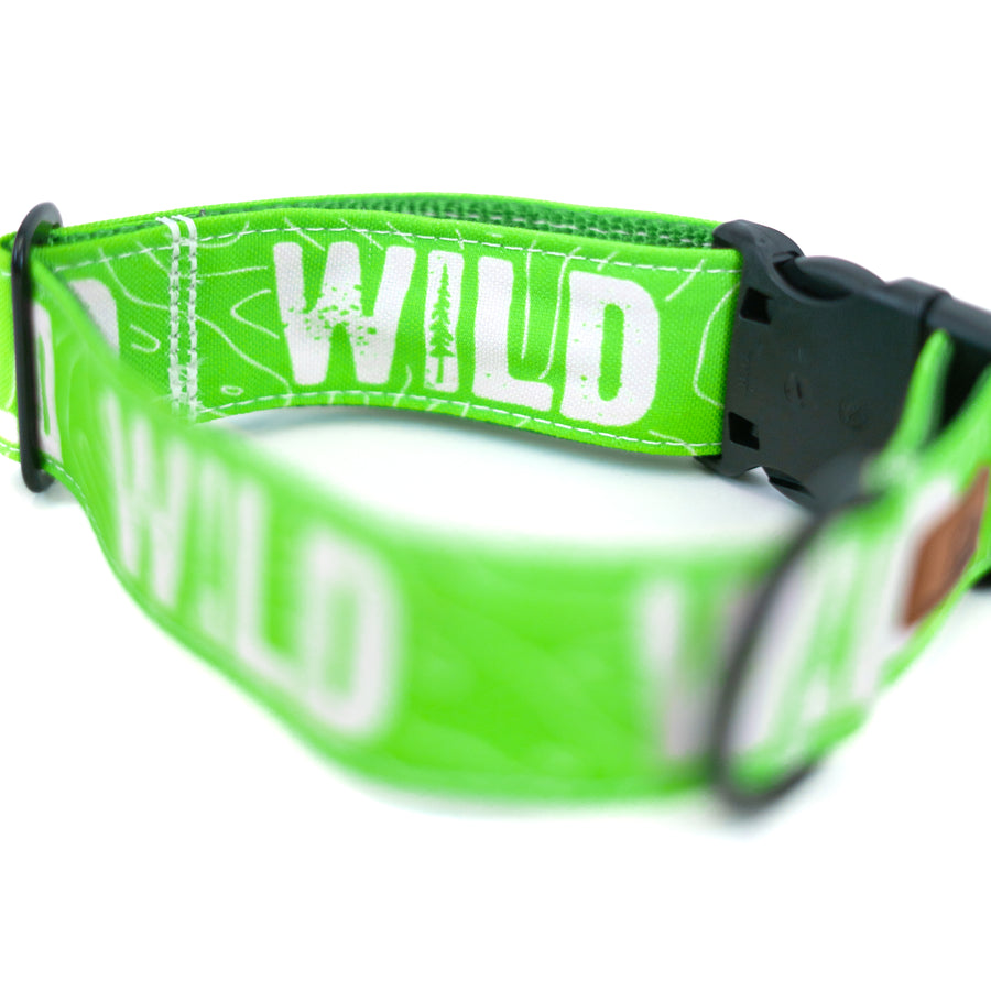 Neon Green WILD Dog Collar