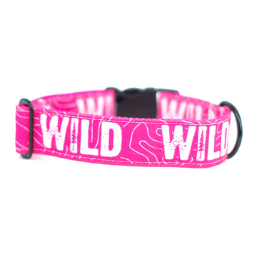 Neon Pink WILD Dog Collar