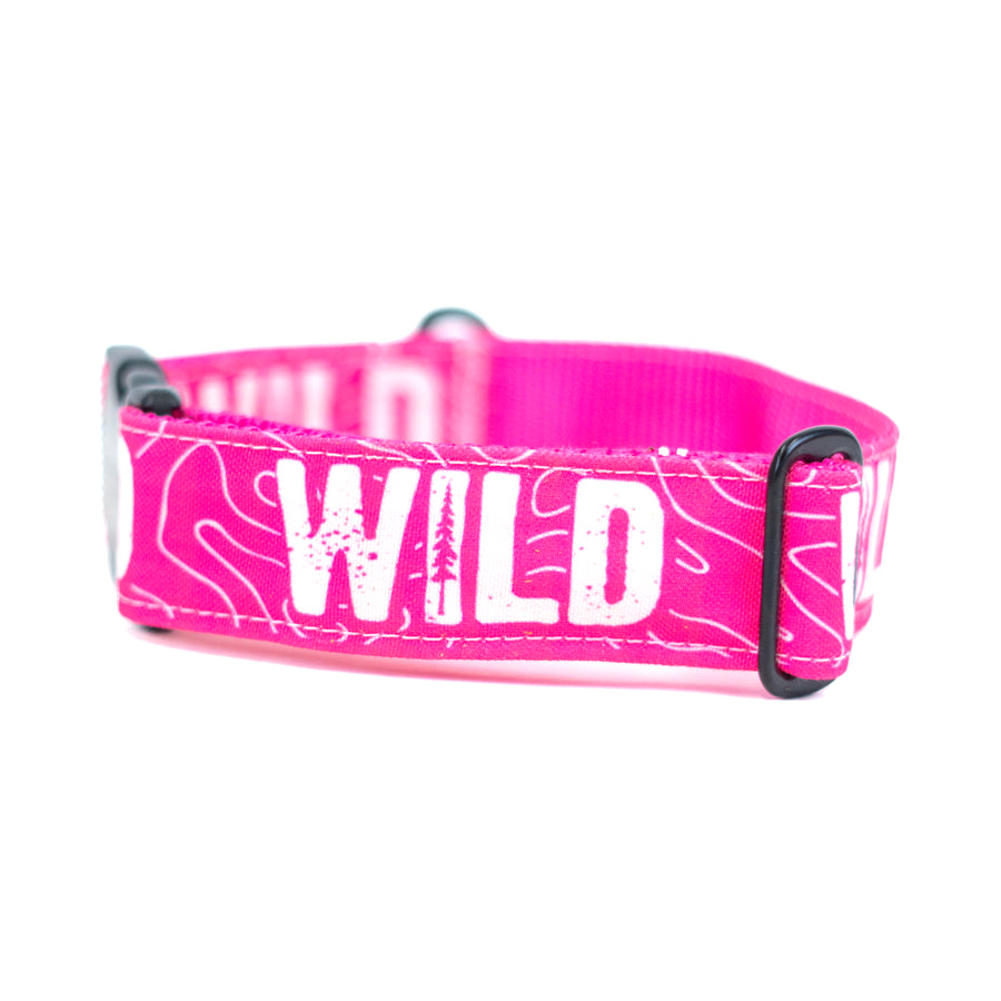 Neon Pink WILD Dog Collar