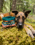 Trailside Dog Bowl in Evergreen | Pre-Order
