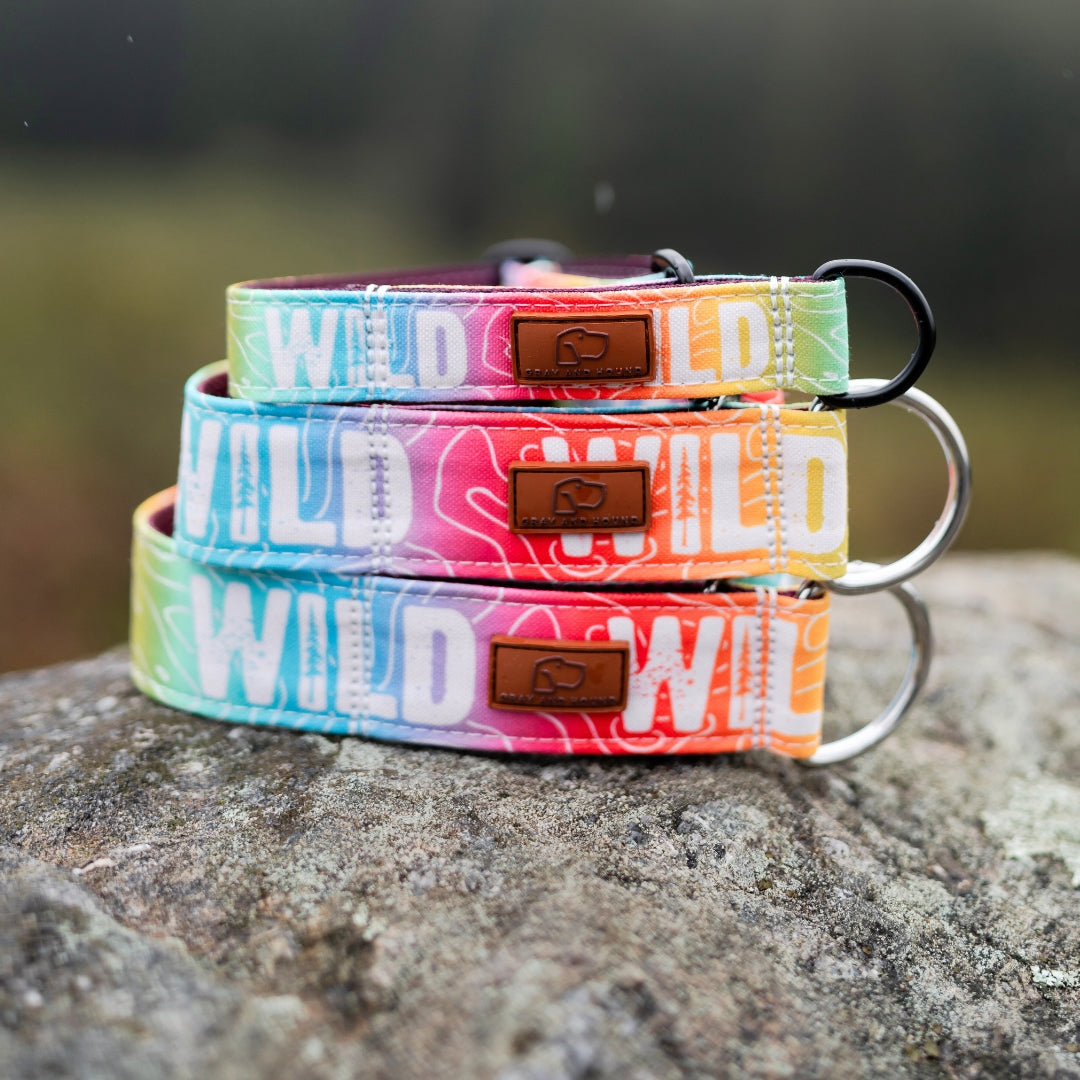 Rainbow Topo Wild Collar