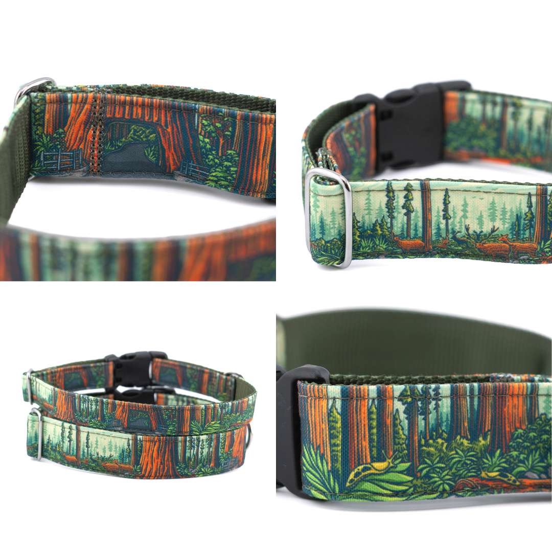 Redwoods Parkside Collar