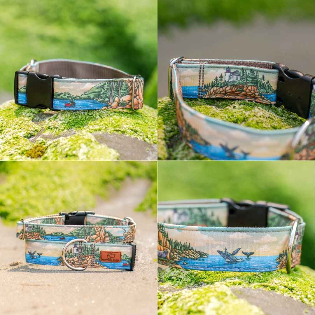 Acadia Parkside Collar