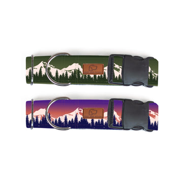 Plastic Buckle Dog Collar Two Pack (choose your designs)