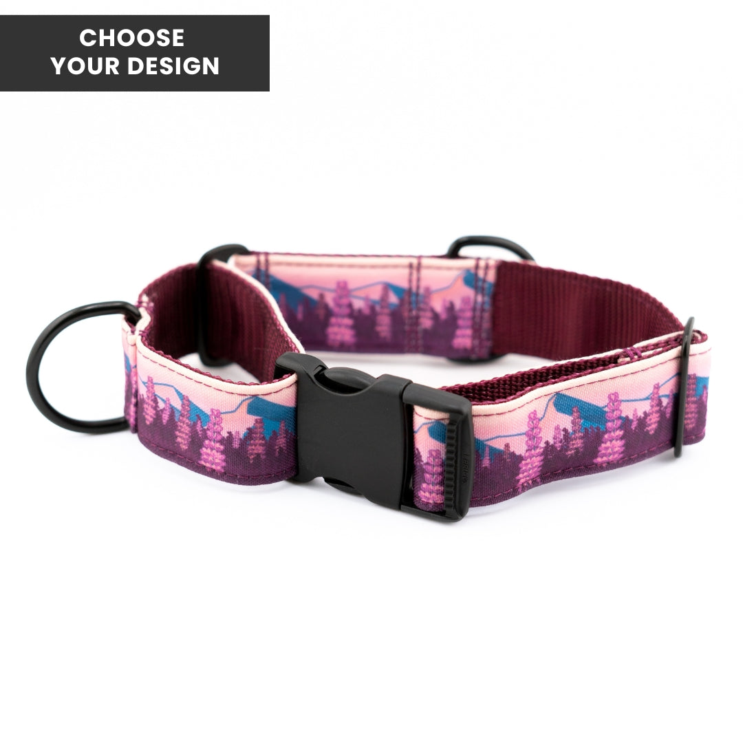 Buckle-On Martingale Dog Collar (all designs)