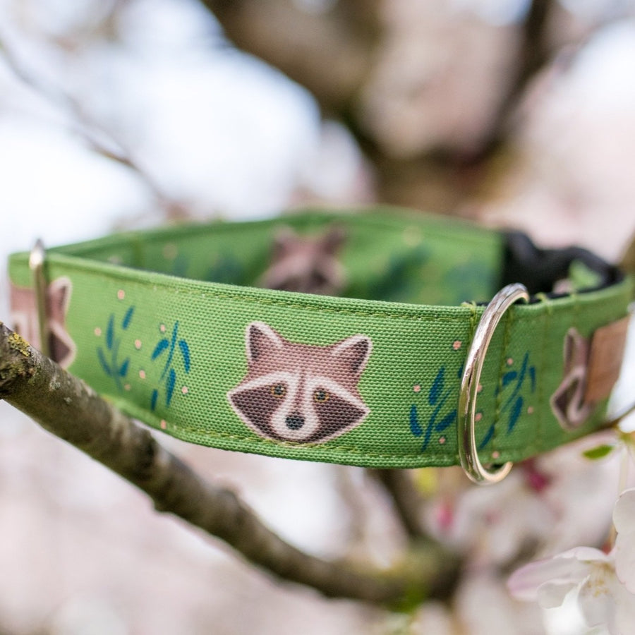 Olive Raccoon Dog Collar