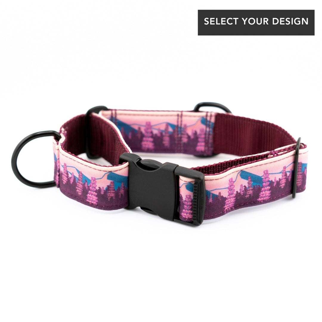Hybrid Martingale Dog Collar (all designs)