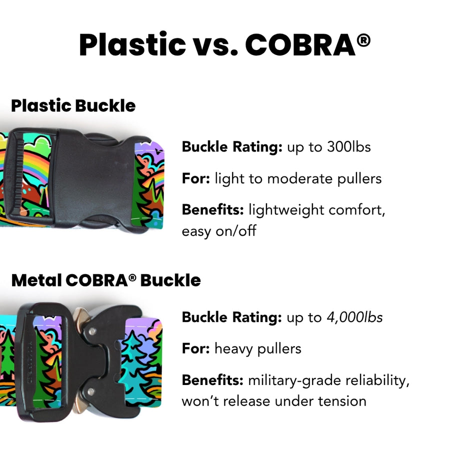 Rainbow Ridge Collar