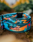 Rainbow Trail Dog Collar [limited quantities]