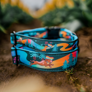 Rainbow Trail Dog Collar [limited quantities]