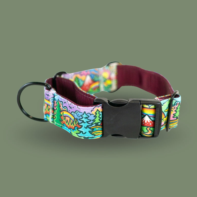 Rainbow Ridge Buckle-On Martingale Dog Collar