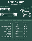 Rainbow Topo Wild Dog Collar [special edition]
