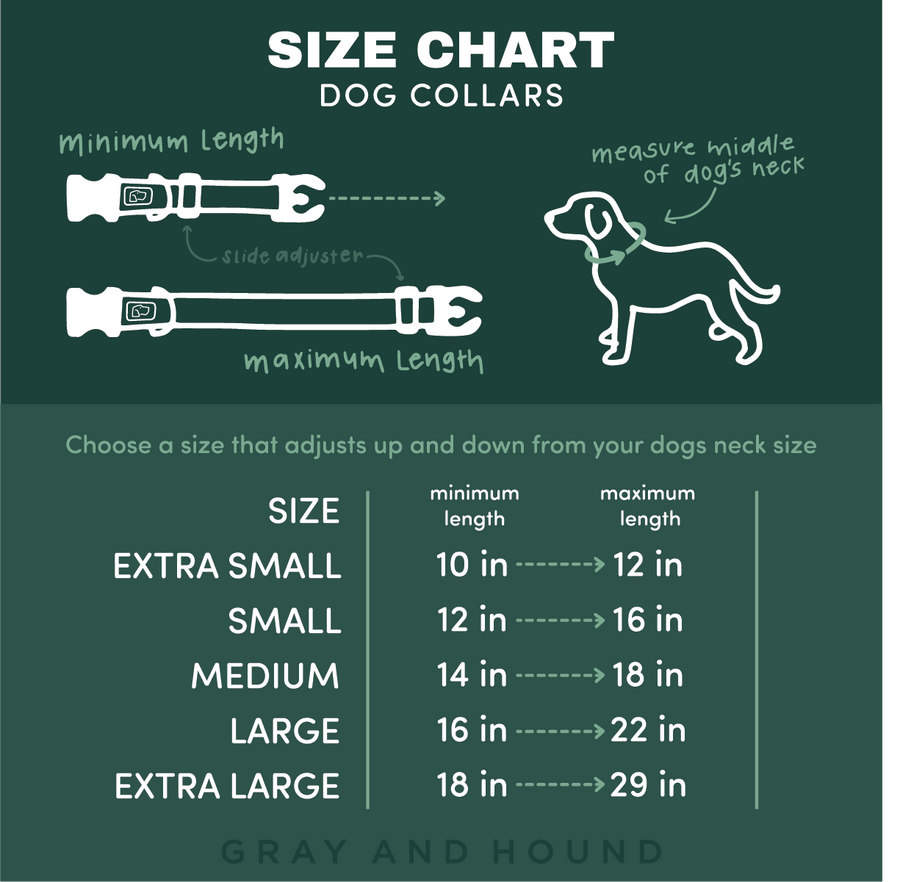 Orca Island Dog Collar