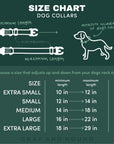 Let's Hike Spring Dog Collar