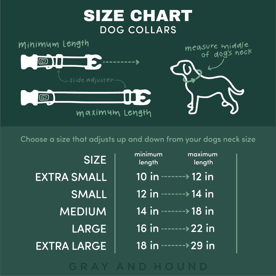 Elements in Green Dog Collar