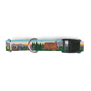 Teton Sunrise Dog Collar [ready to ship]