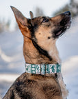 Spruce Sweater Dog Collar