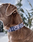 Slate Sweater Dog Collar