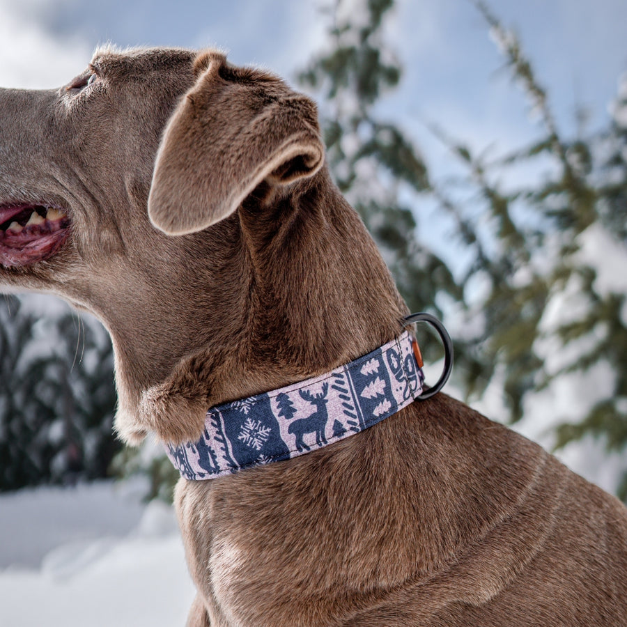 Slate Sweater Dog Collar