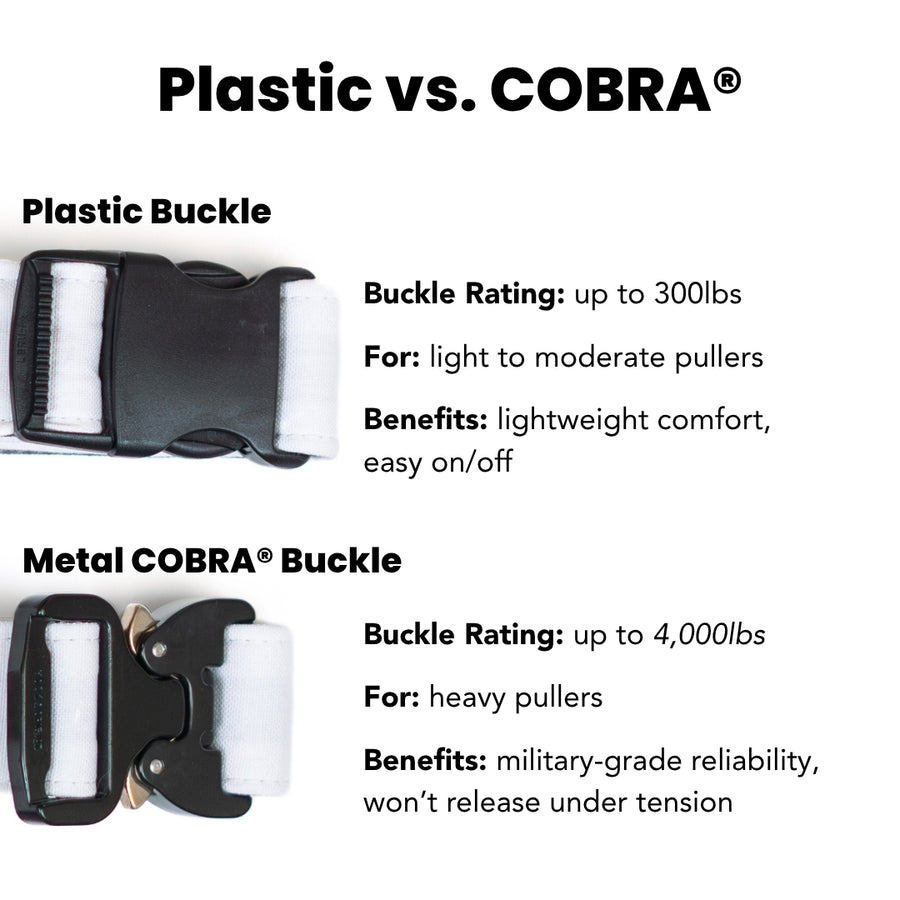 Let's Hike Winter Dog Collar