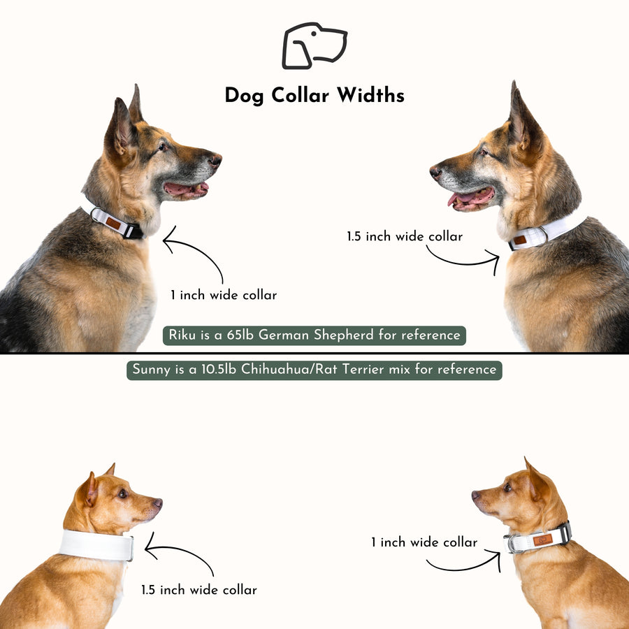 Let's Hike Fall Dog Collar