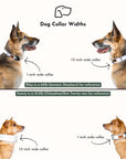 Let's Hike Dog Collar