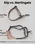 Blue Ridge Mountain Dog Collar