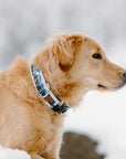 Let's Hike Winter Dog Collar