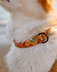 Honey Bee Dog Collar