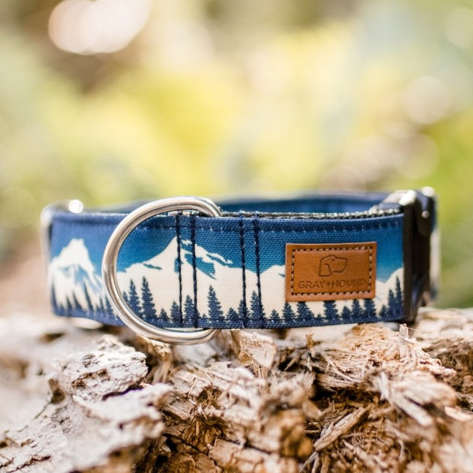 Blue Ridge Mountain Dog Collar - Appalachian