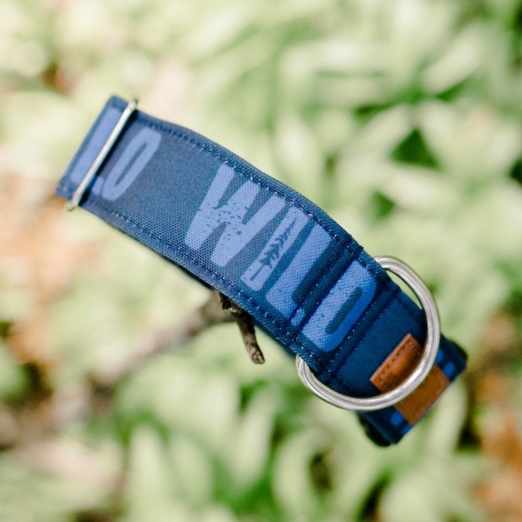 Navy Blue Boy Wild Dog Collar