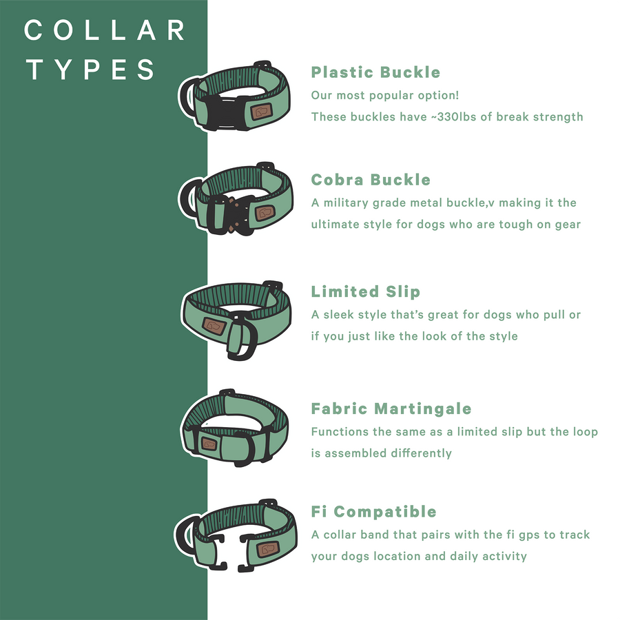 Dog Collar Styles in Martingale and Quick Release Buckle