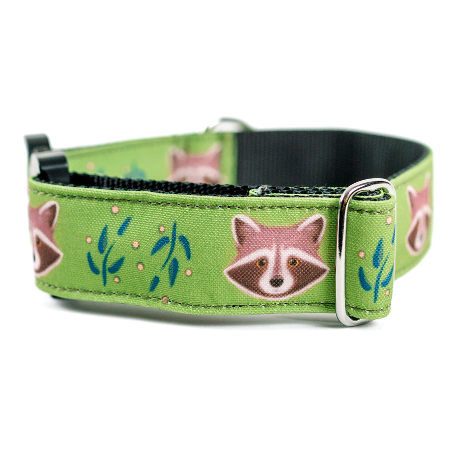 Olive Raccoon Dog Collar