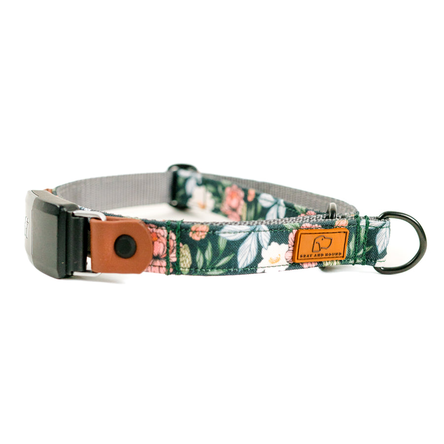 Martingale Fi Dog Collar Replacement Band