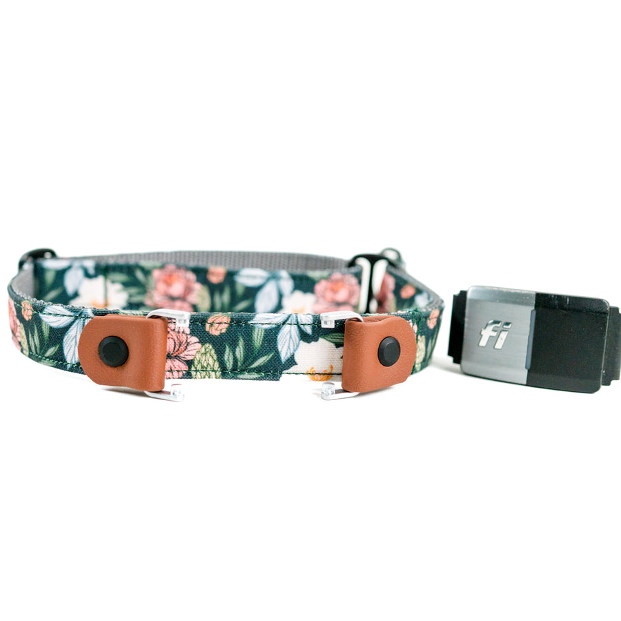 Pacifica - Buckle or Slip Dog Collar – wyldkindoutfitter
